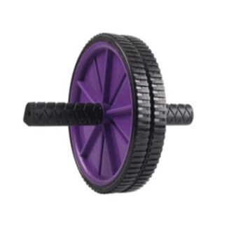 Exercise Wheel