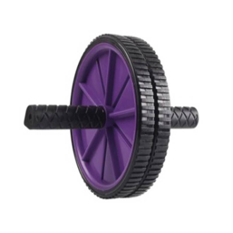 Exercise Wheel
